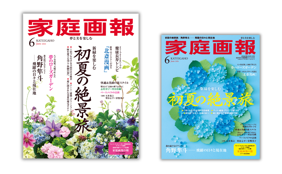 家庭画報2026年6月号の通常サイズ版が左、青い表紙のプレミアムライト版が右に並ぶ比較画像